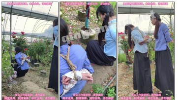 【束心工作室】月月和星尘，五四装，月季园，五花捆绑赏花，互相解绑